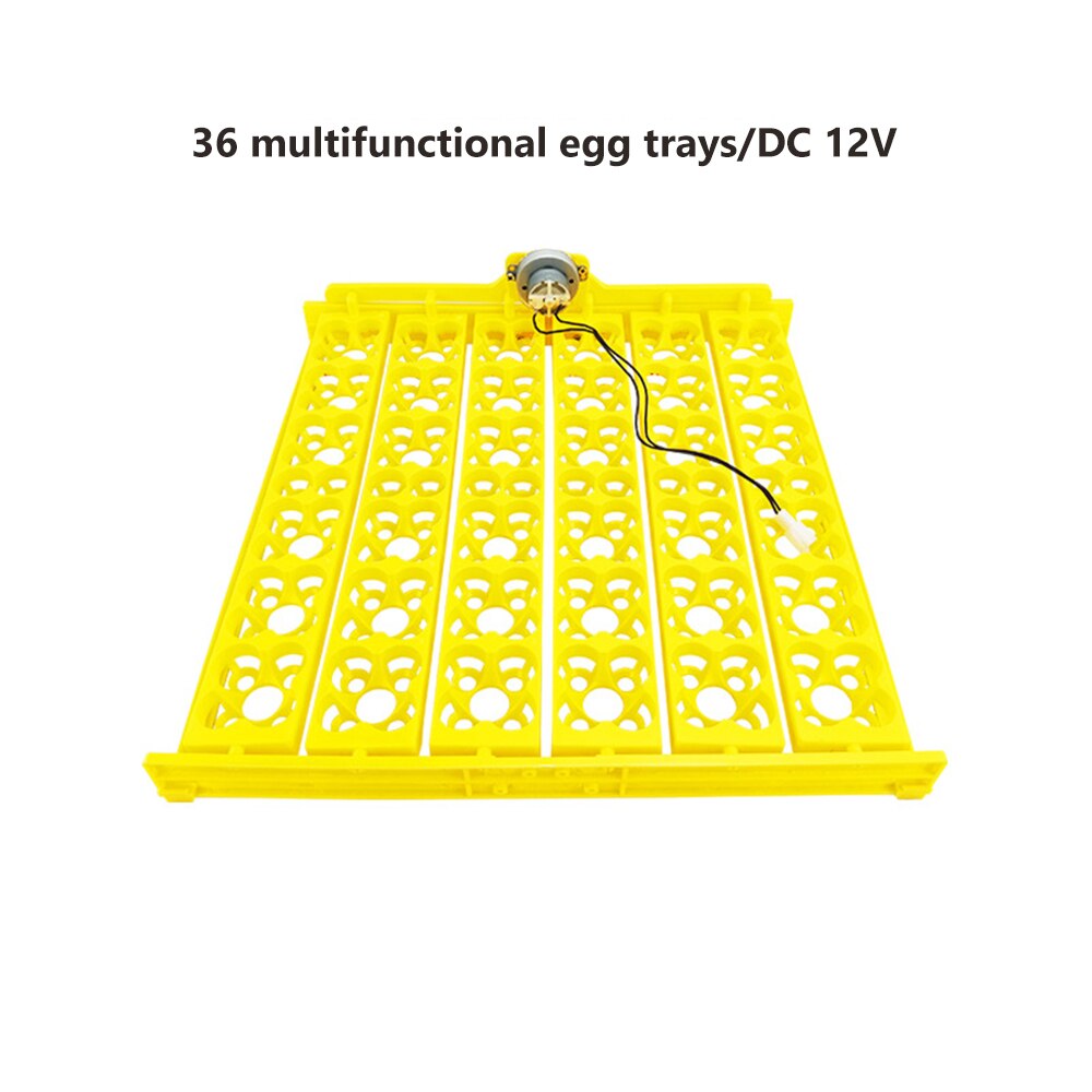 110V 220V 36 Eggs Incubator Brooder Bird Quail Chick Hatchery Incubator Poultry Hatcher Turner Automatic Farm Incubation Tools: DC 12V