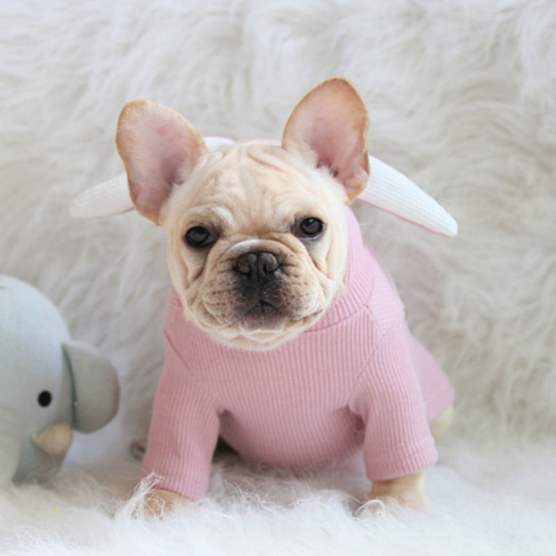Vêtements en oreilles de lapin et de lapin, nouveaux vêtements pour chiens et chats, pull pour chiens et chats, bouledogue français, 7 tailles disponibles