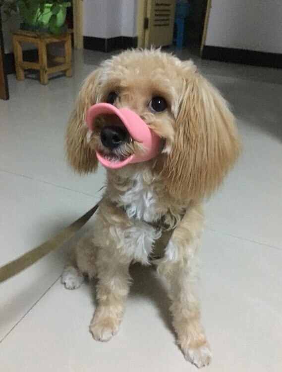 Pet Dog Collar Duckbill Muzzle Breathable Dog Muzzle For Prevent Small Medium Large Dog Bark&amp;Bite Muzzle