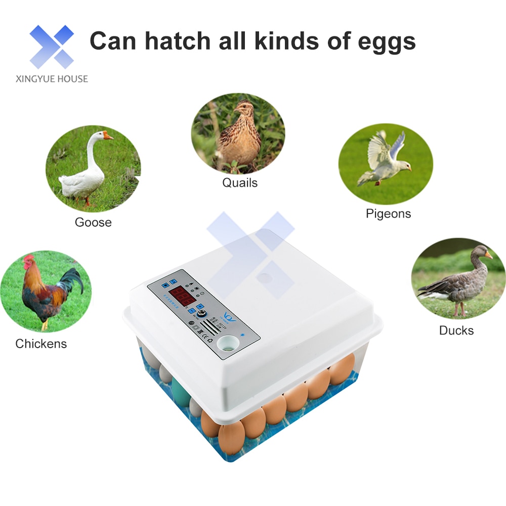 20 Eggs Incubator Automatic Temperature Control Incubator Tools Household Bionic Water Bed Farm Bird Egg Hatchery Incubator 220V