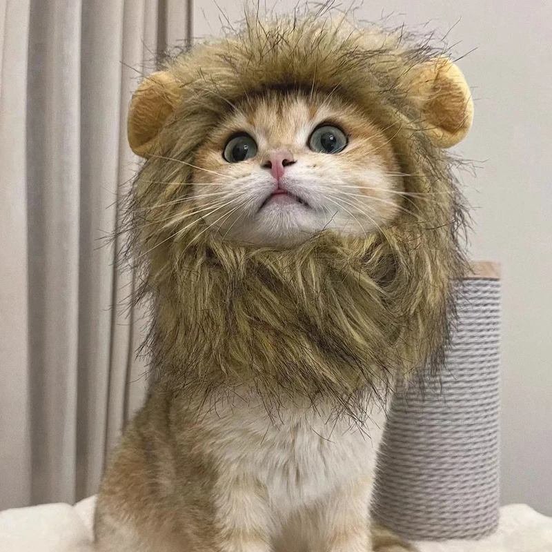 Leuke Grappige Huisdieren Kleding Cap Leuke Kat Pruik Lion Manen Kostuum Cosplay Kitten Hond Hoed met Oren Fancy Feestartikelen