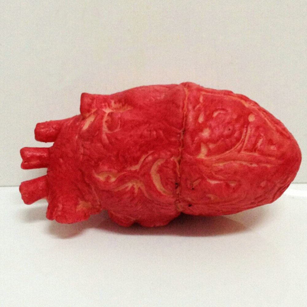 1PC Halloween entsetzlich Blutigen Durchtrennt Grusel unheimlich Menschliche Herz lebensgroß unheimlich Gefälschte Gummi blutig Körper Teil Halloween Dekorationen