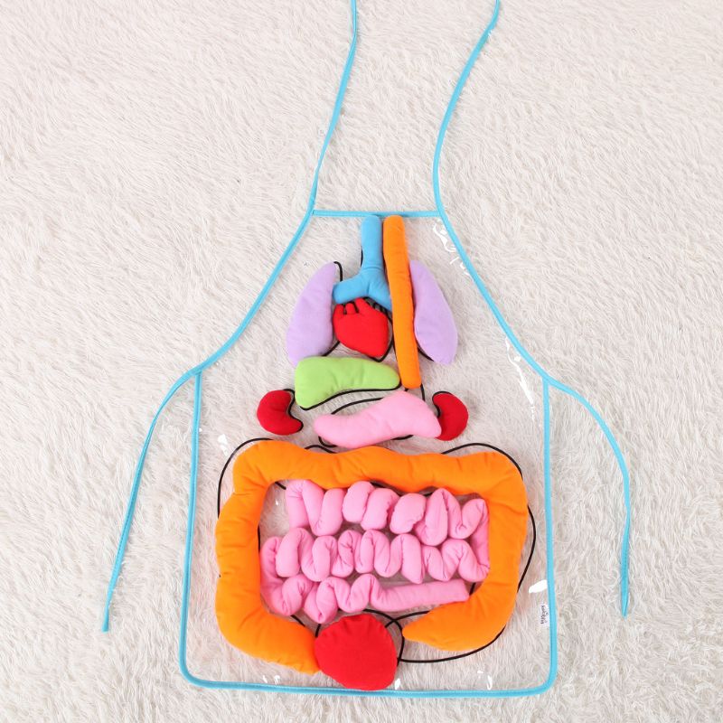babyshophappiness Menselijk lichaam pop - Thema dit ben ik - Educatief