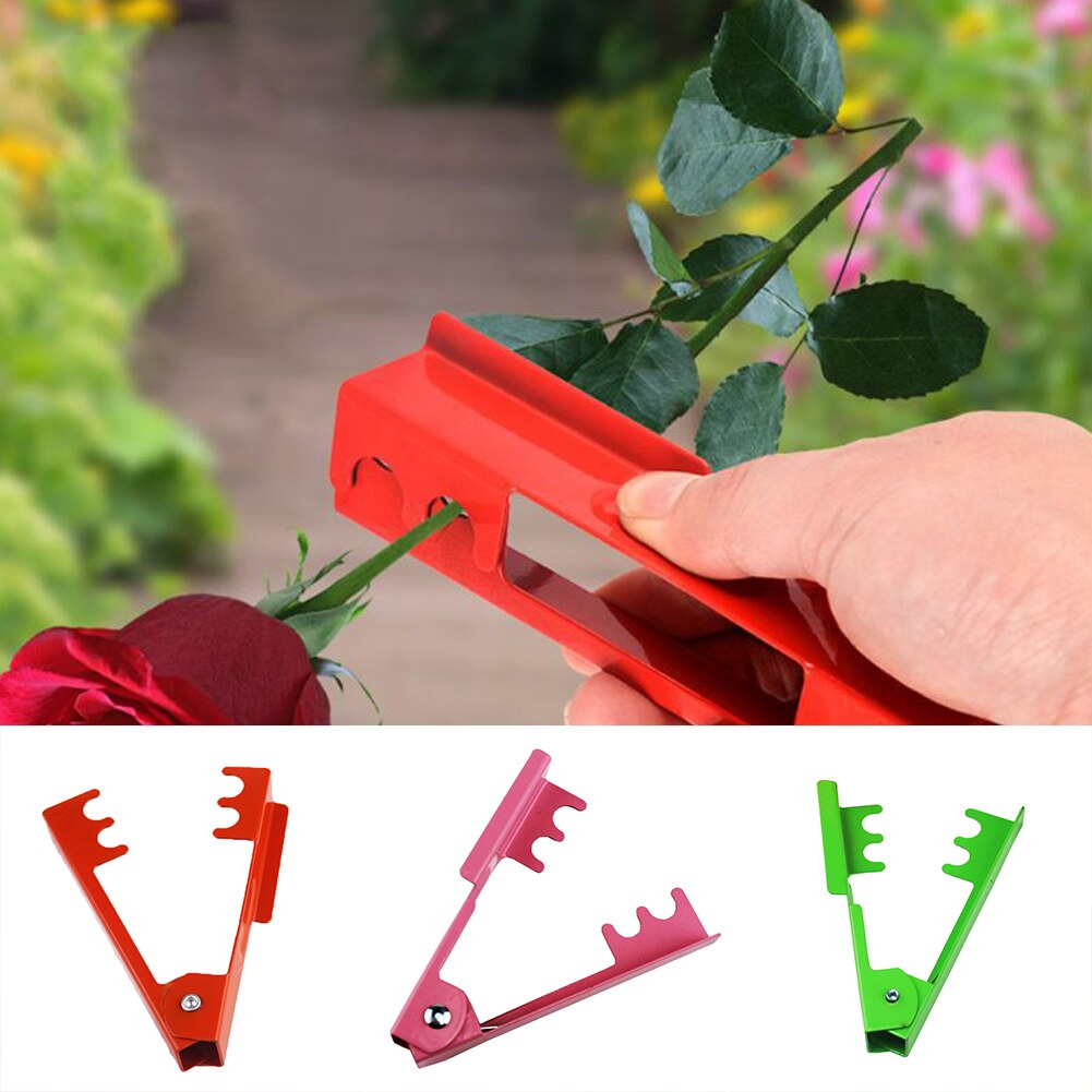 Outil de décapage pour Arrangement de fleurs de Rose | Décapant de feuille d'épines de maison et de jardin, outil de plantation