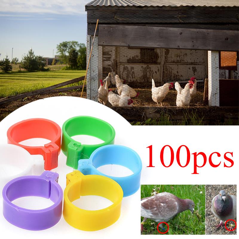 Dierbenodigdheden Vogel Been Bands Paars 100 Stuks Ringen Gevogelte Haan Papegaai 10.5 Mm Kip 1-100 Genummerde Ringen clip Huisdieren Eend Duif