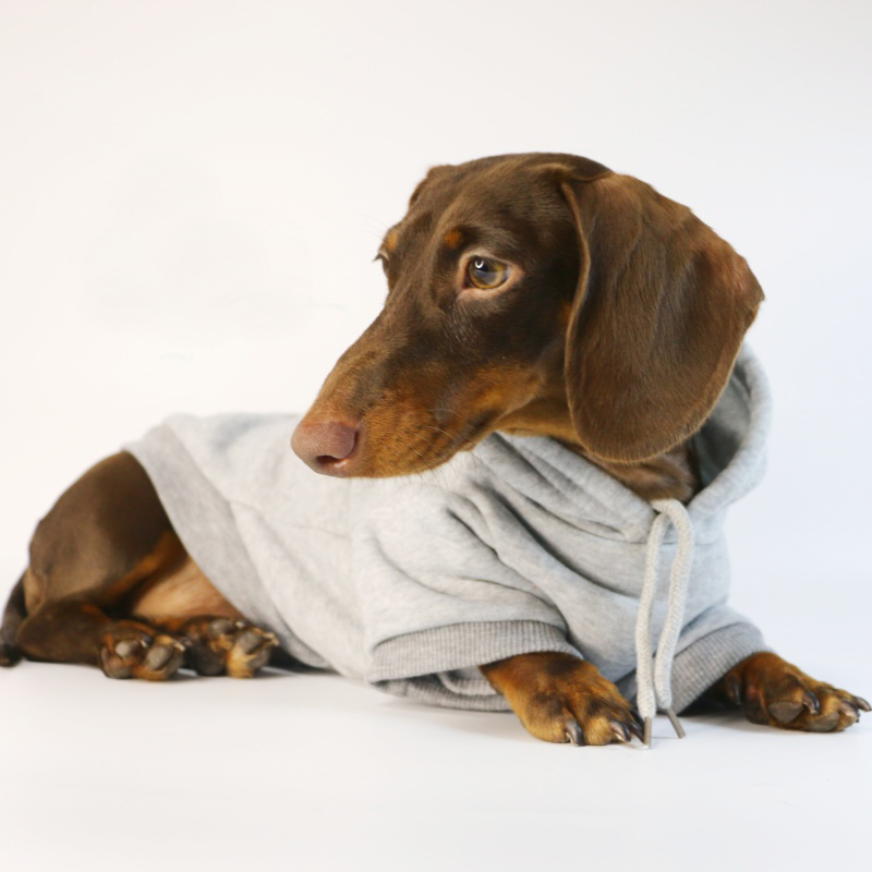 Kul pølse-hettegenser til små hunder, varme valpeklær, dachshund-genser, maskotkostyme, roupa cachorro