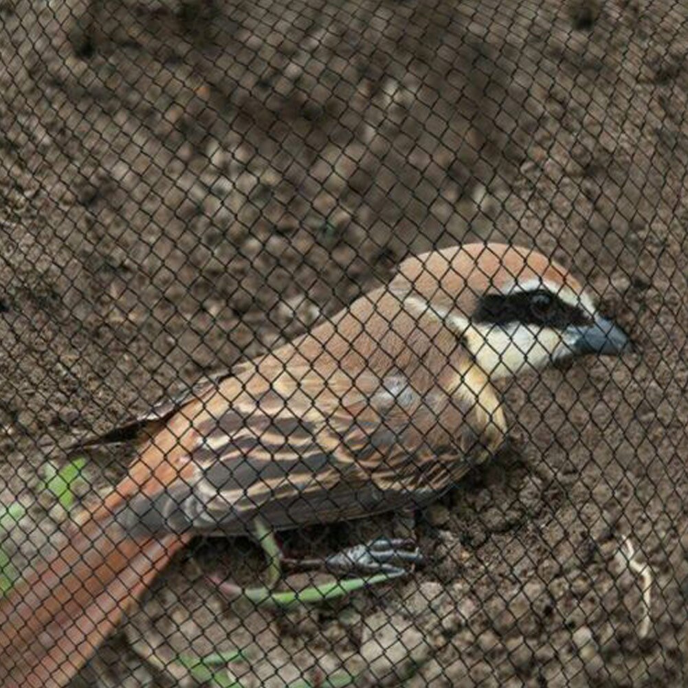 Anti-Bird Net Orchard Valley Airport Anti-Sparrow Network Anti-Spotted Net