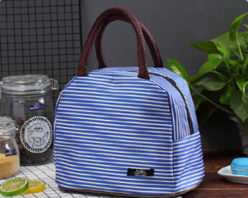 Männer Frauen Kinder tragbar isoliert Thermal- Kühler Mittagessen Kasten Picknick Fall Lager Tasche tragen Tote Oxford wasserdicht Handtasche: Blau