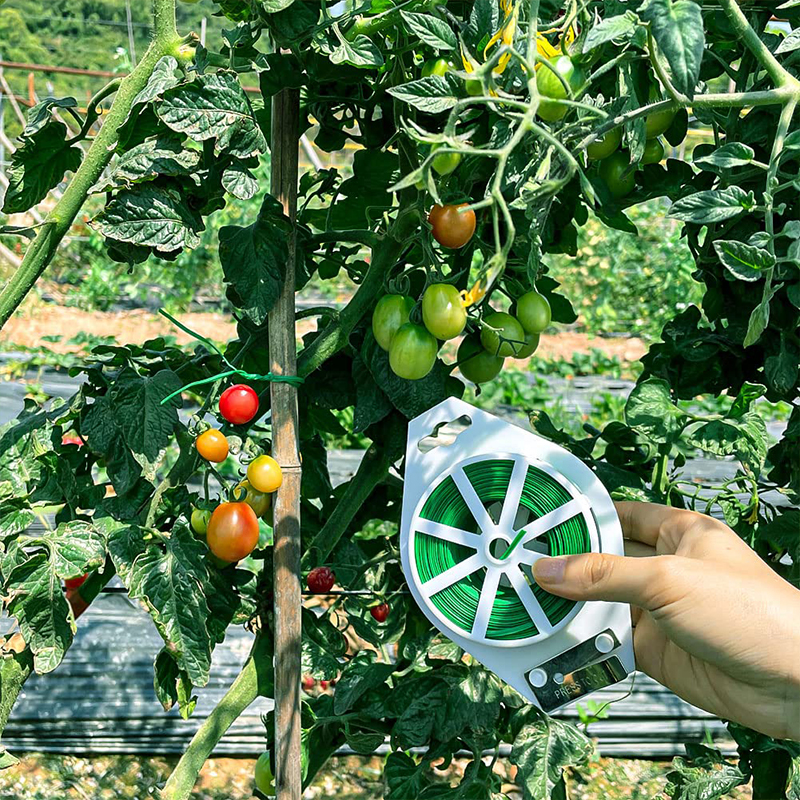 Garten Twist binden Zubehr Pflanzenhalter Gemse ...  Grandado
