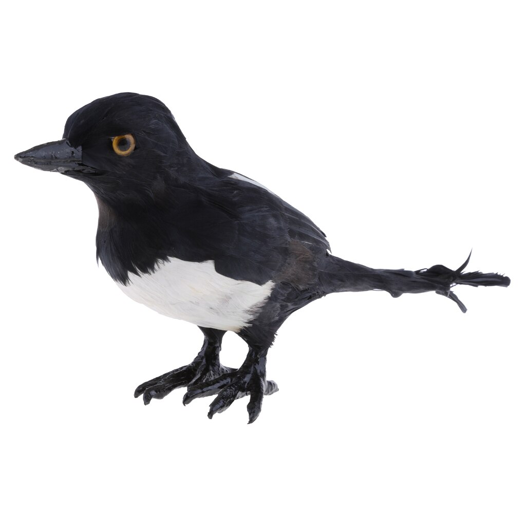 Realistic Magpie Peacock Bird Figurine Garden Ornaments Decor: Magpie