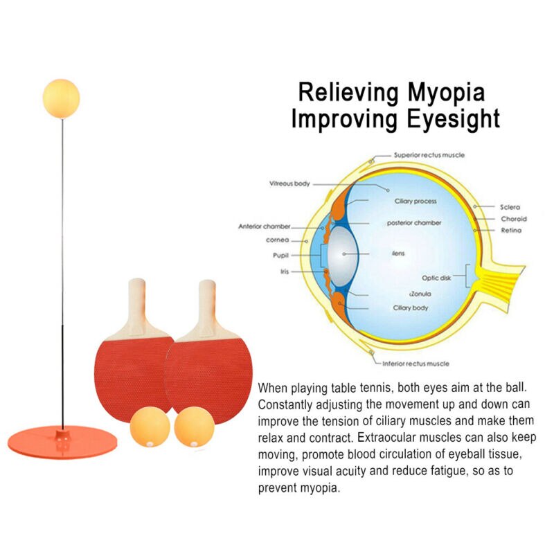 Table Tennis Ping Pong Training Robot Fixed Rapid Rebound Trainer Equipment Exercise Eyesight