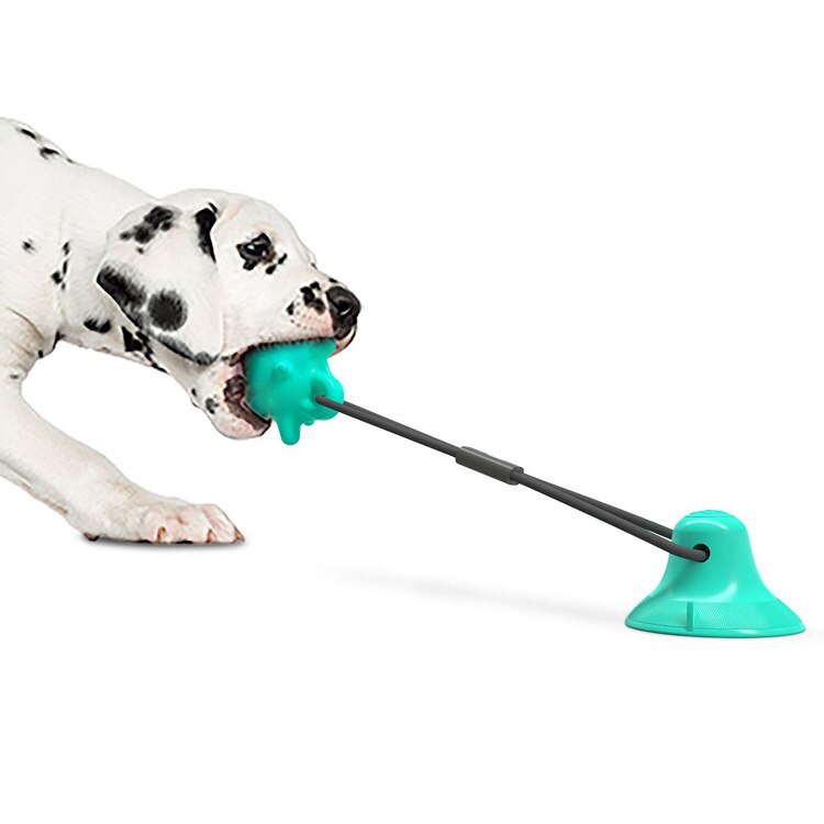 canna ventosa giocattolo tre-pezzo forniture per animali da compagnia nuovi prodotti nuovi modelli di esplosione di vendita calda bastone molare morso-resistente palla