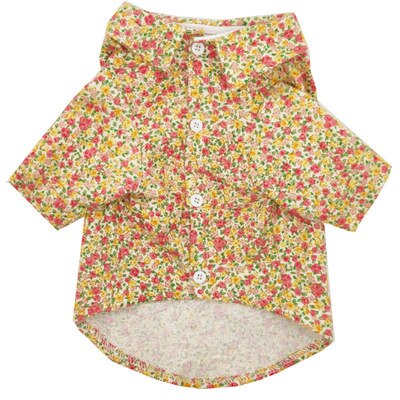 Plush Dog Shirt Spring Autumn Chihuahua York Puppy Clothes Pomeranian Poodle Bichon Teddy Schnauzer Corgi Shiba Lnu: B / M