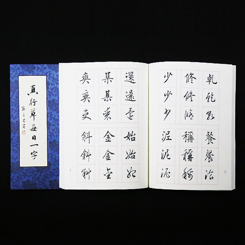 Chinese Calligraphy Copybook Adult Student Cursive Script Running Calligraphy Techniques of Calligraphy Brush Copybook Entry