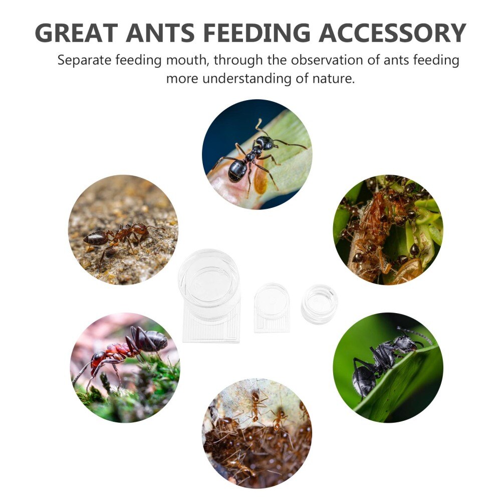 2 Stuks Acryl Ant Feeders Mieren Drinken Bowls Water Feed Gebied Voor Ant Nest