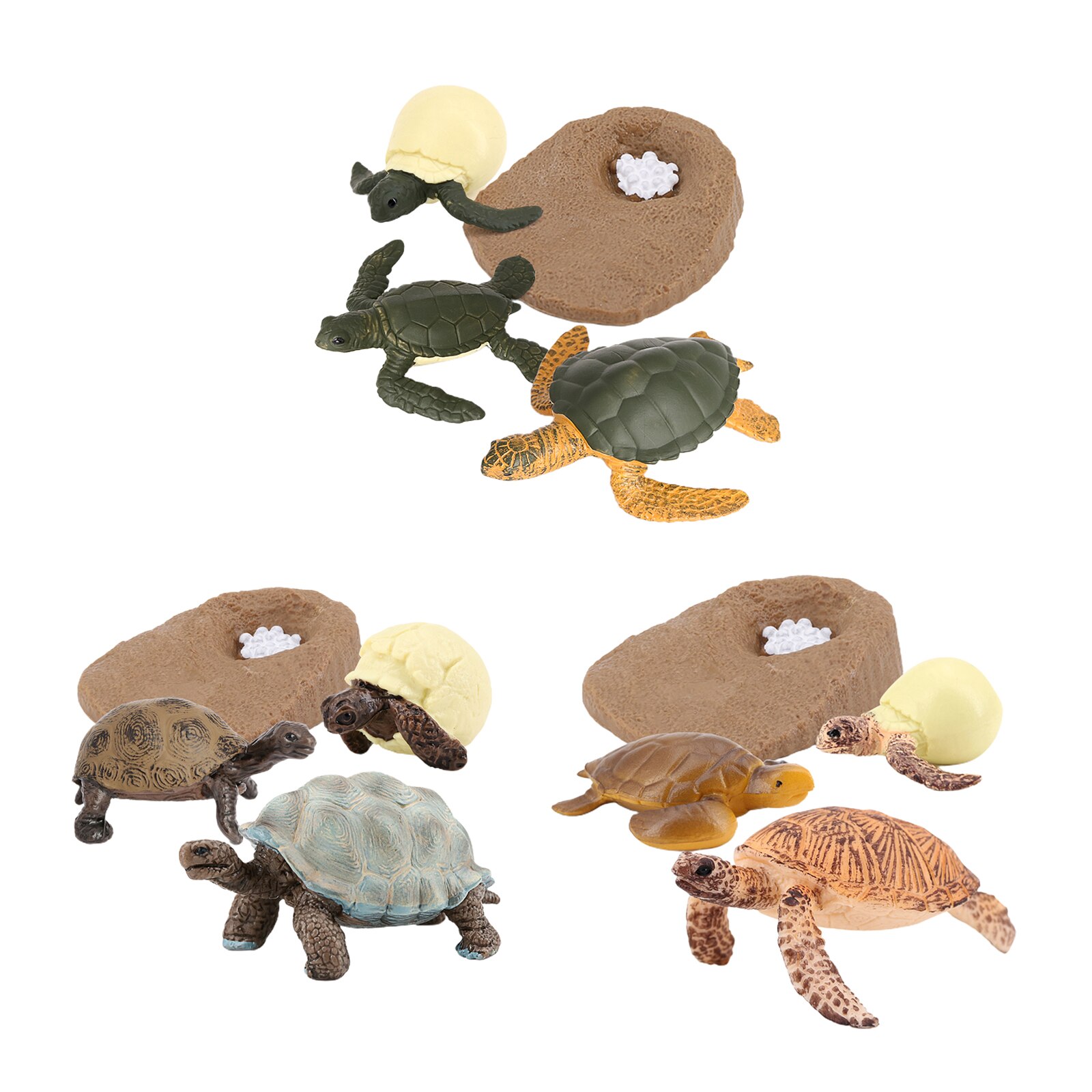 Zeeschildpad Leven Cycle Model 4 Stage Van Groei Kinderen Onderwijs Cognitieve Biologie Speelgoed