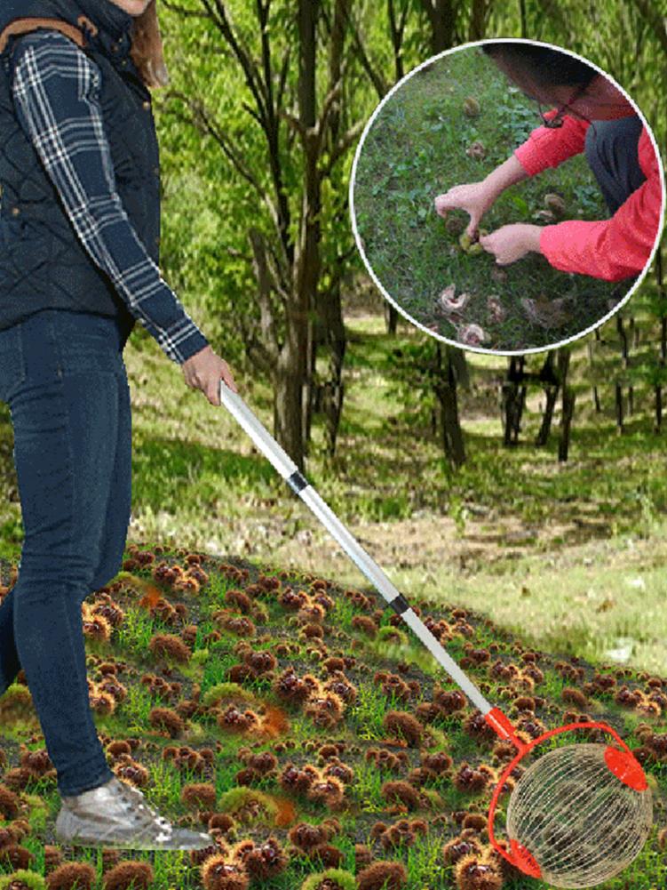Nueces castañas cosechadora rodillo tuerca colector retráctil aleación de aluminio bola jardín fruta Picker familia huerto herramienta
