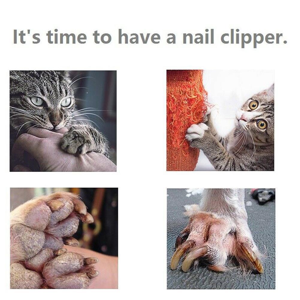 Stainless Steel Grooming Trimmer Scissors Clippers Cutter For Animals Pet Cats Sizes Clipper Dog 2 Nail Lock w Z2R6