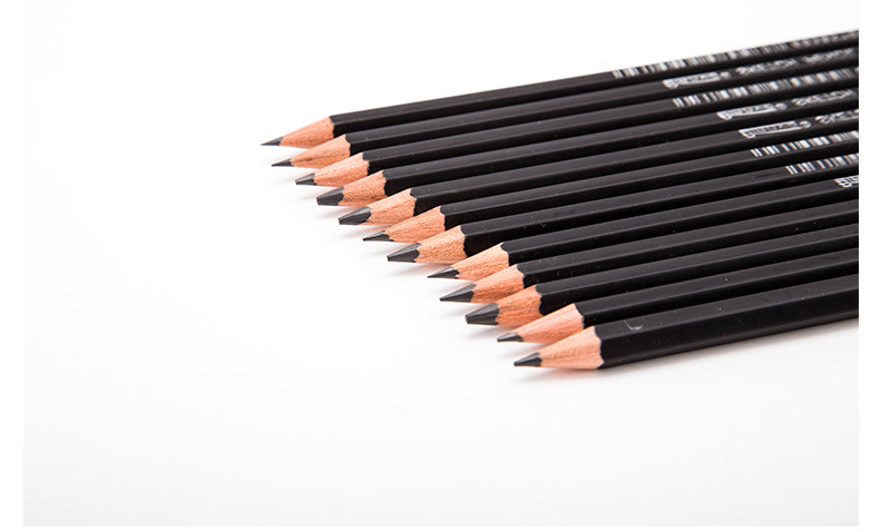 12 Pieces 6H-10B Drawing Sketching Pencil Set Graphite Pencils for Beginners &amp; Pro Artists