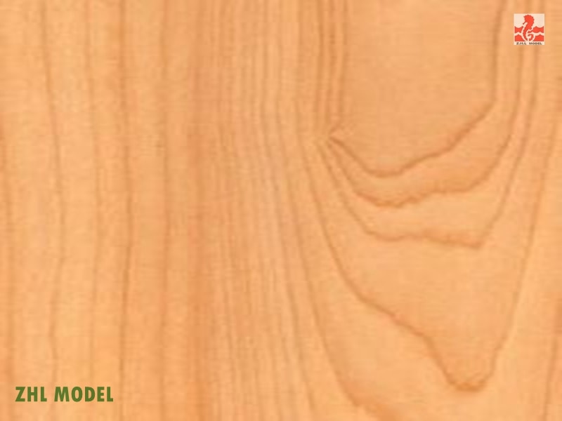 ZHL Maple hout strips 50 stuks model
