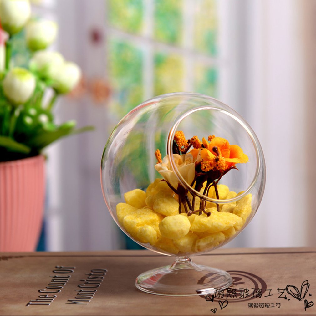 Transparente redondo borosilicato botella de vidrio hidropónico planta florero Mini paisaje flor suculentas plantador