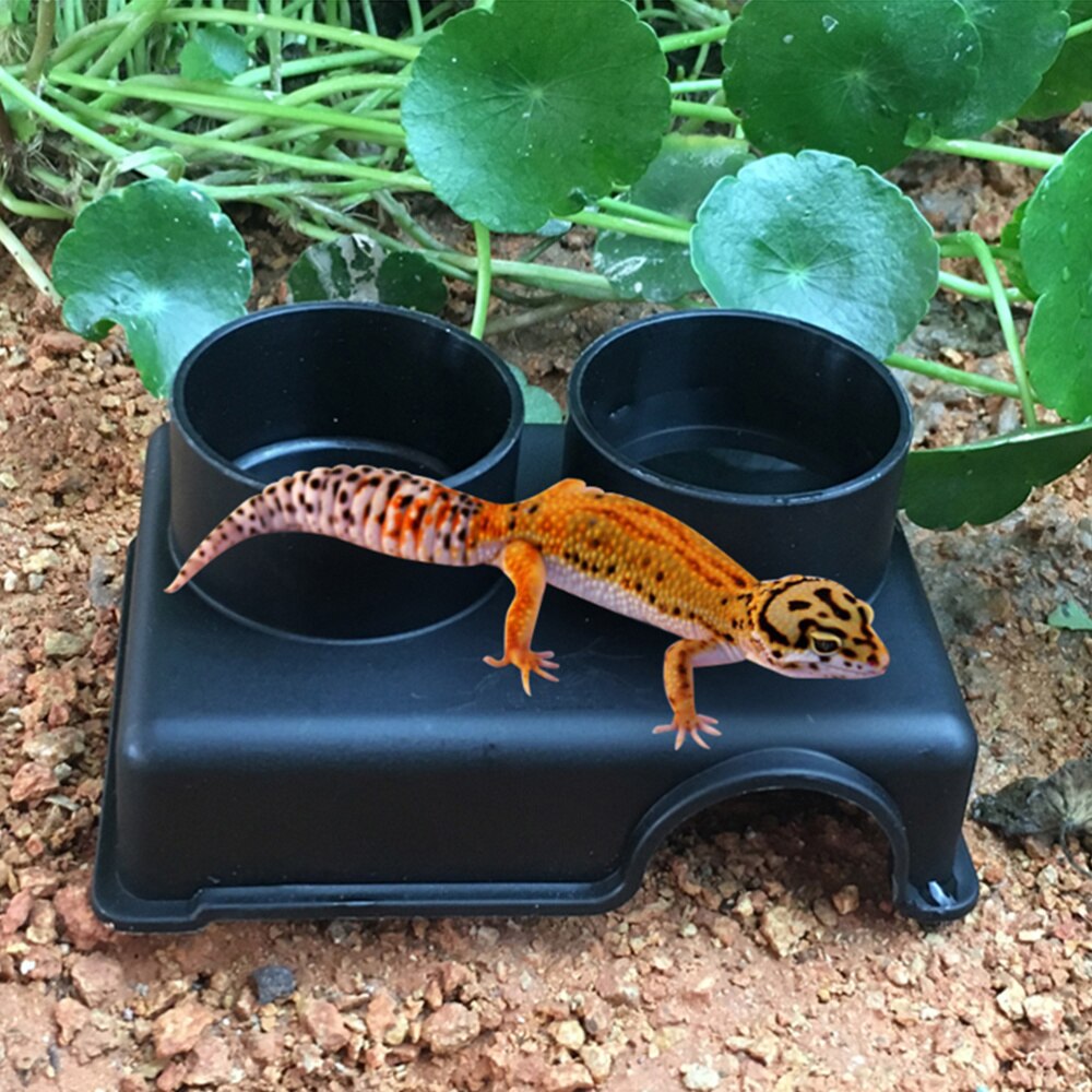 Cuenco de plástico para reptiles, tres en uno, para evitar el agua, tazón de comida para arañas, 1 ud.