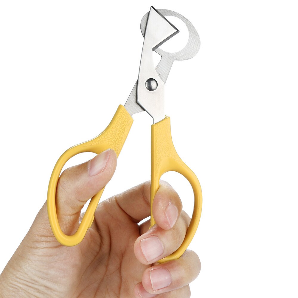 Quail Egg Scissor Cutter Opener Kitchen Tool Clipper Shells Scissors Cracker Cigar Stainless Steel Blade #50g