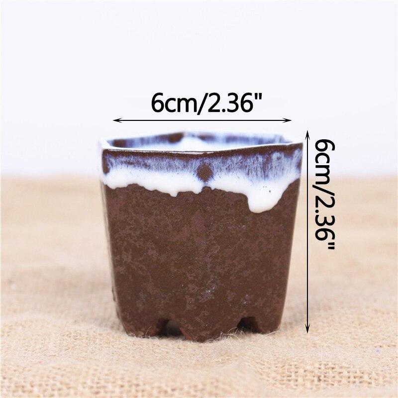 Ceramic Succulent Flower Pot Polygonal Purple Clay Pot Simple Home Garden Bonsai Pot Thumb Basin: A