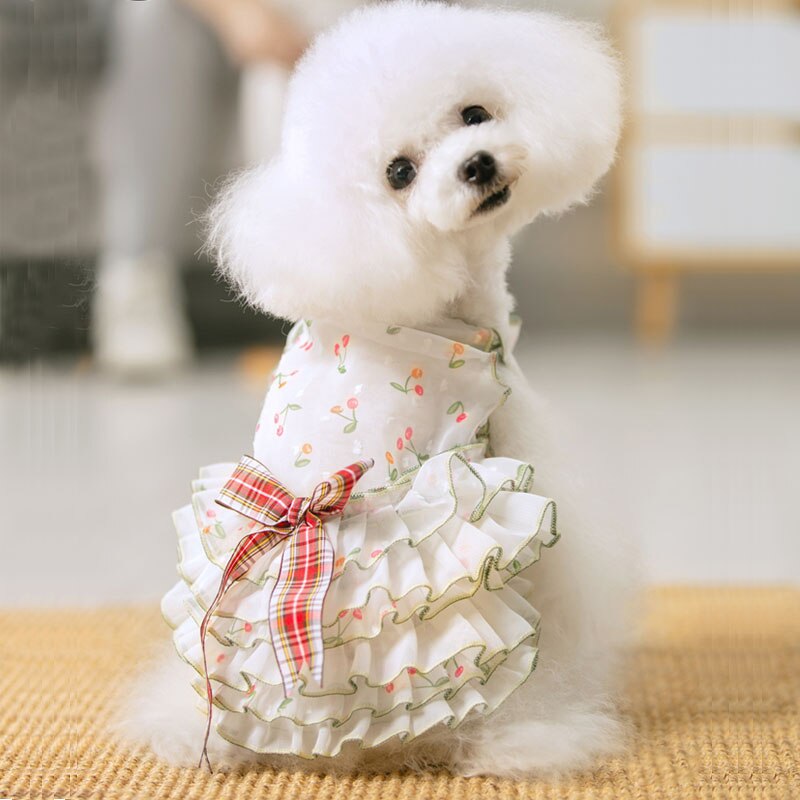 Puppy Hond Super Leuke Print Kant Prinses Jurken Mooie Hond Zomer Tutu Jurk Bovenkleding Kleding Chihuahua Poedel Honden Rok