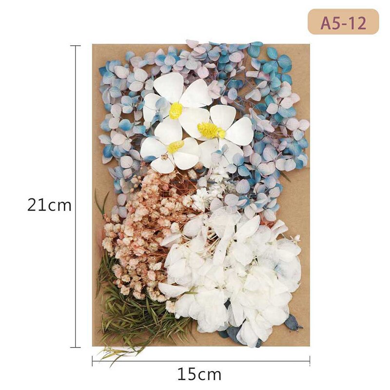 Fleur pressée mélangé fleurs séchées matériel pour bricolage aromathérapie bougies carte de voeux époxy artisanat boucles d'oreilles FAS6: Nu