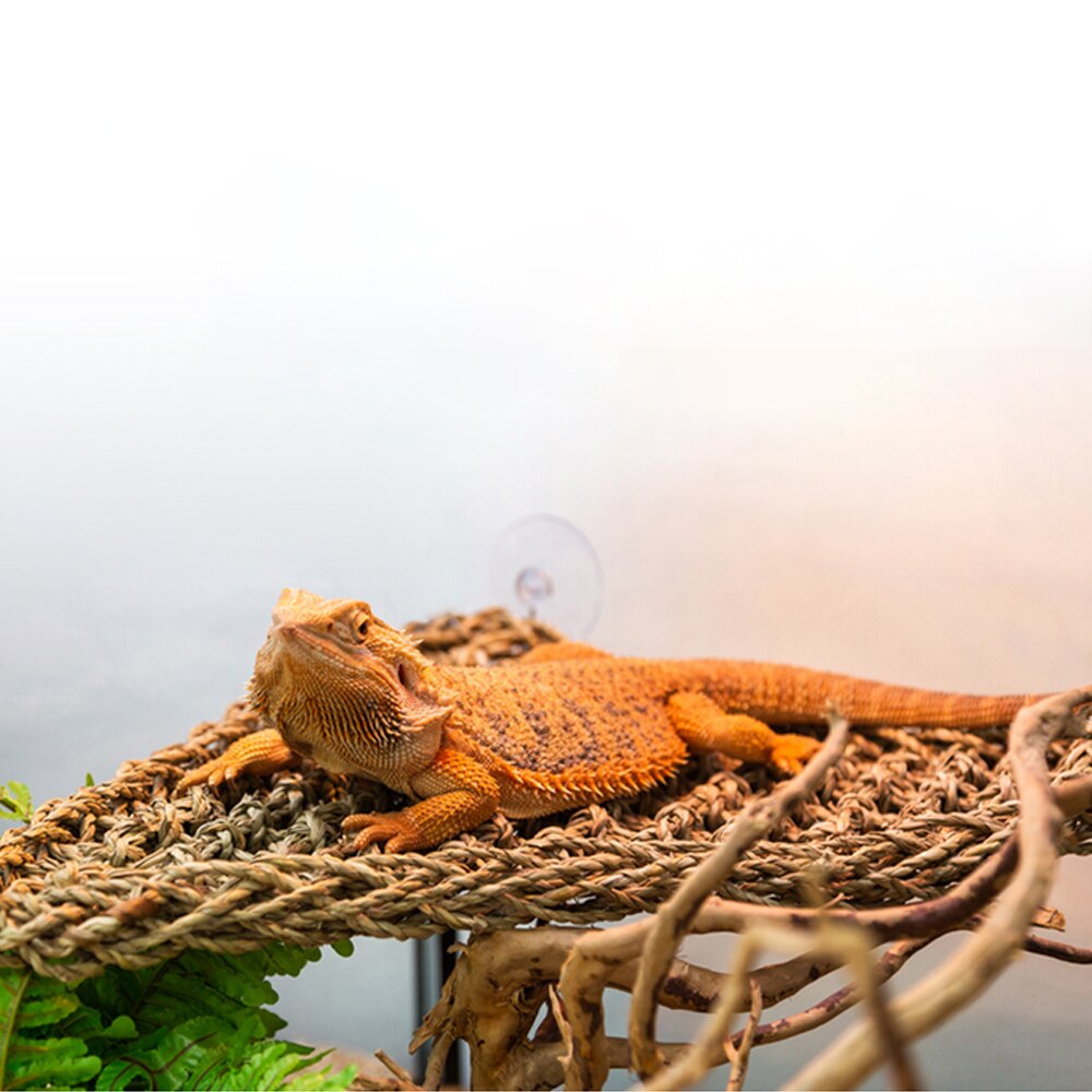 40X17cm Reptile Terrarium For Lizard Lounger Hammock Small Hermit Crabs Geckos Bed Mats Pet Reptile Mat Decor