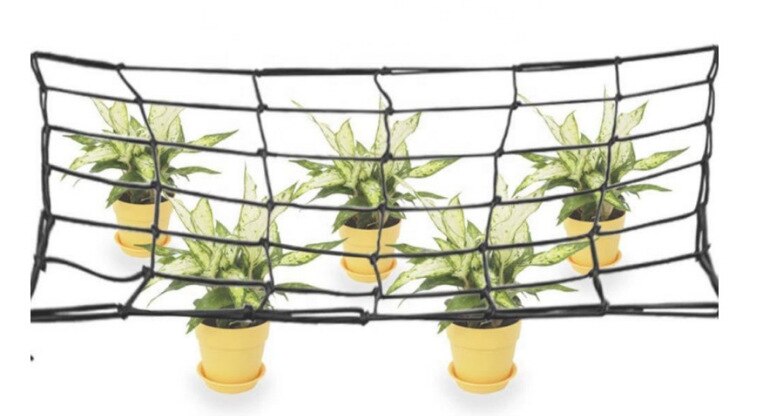 Plant Tent Druk Tak Netto Uniform Licht Elastische Netto Plant Tent Ondersteunende Apparatuur Tak Netto Licht Netto