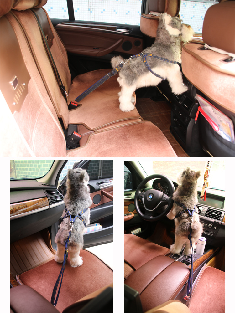 Hond Autogordel Verstelbare Leash Geschikt Voor Kleine En Middelgrote Honden Reizen Clip Dierbenodigdheden Drie Kleuren