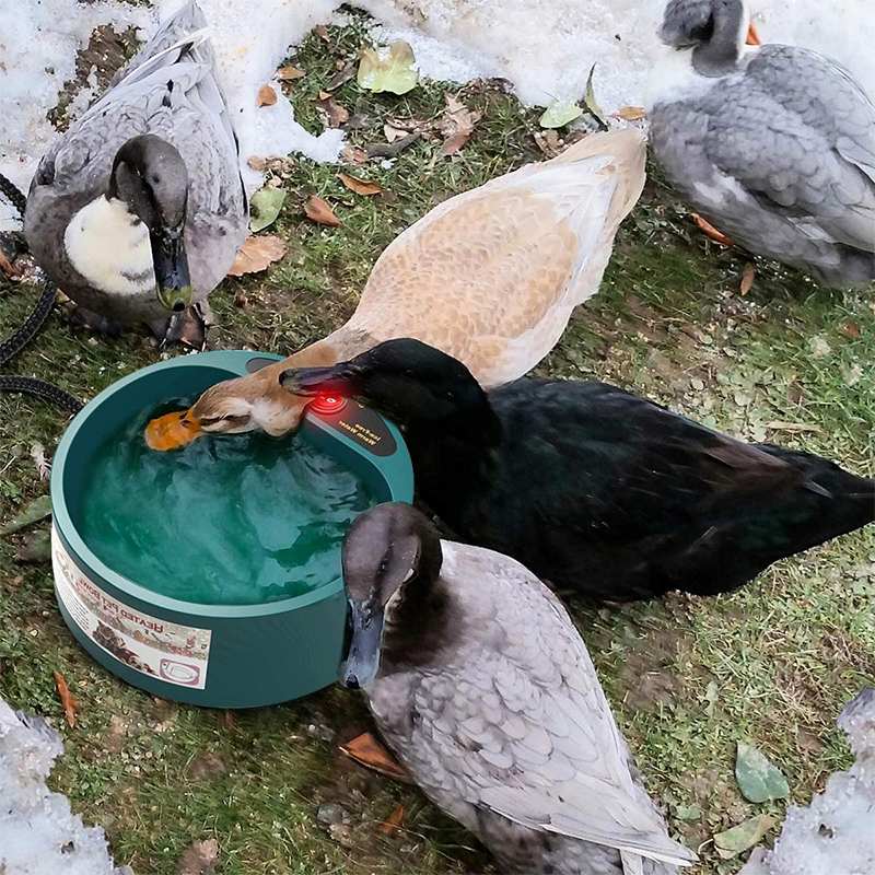 Verwarmde voerbak voor huisdieren, voerbak voor honden, katten, puppy's, winterverwarming, voerbak voor huisdieren, voedselcontainer, voerbak