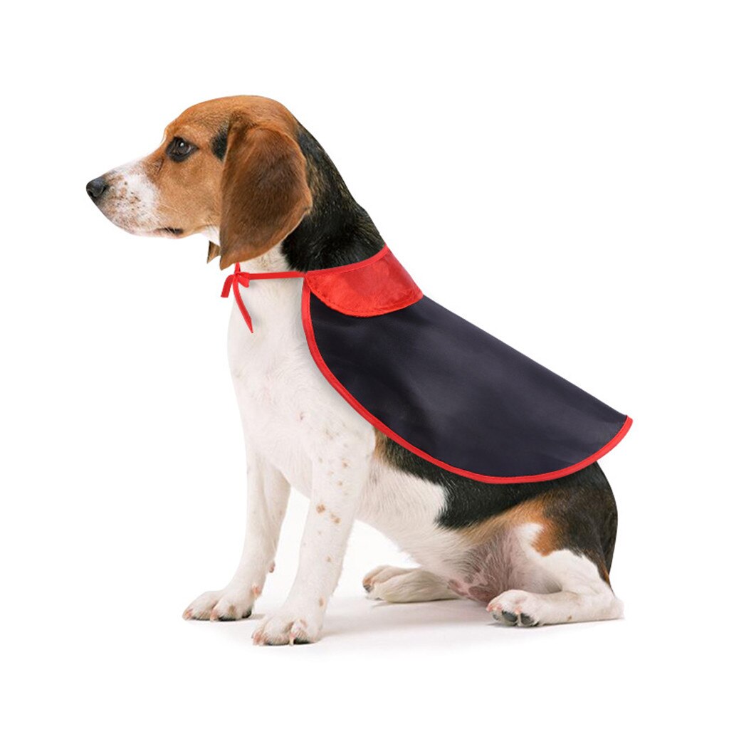 Cape d'halloween pour chien et chat, tenue de déguisement de sorcière, vêtement doux