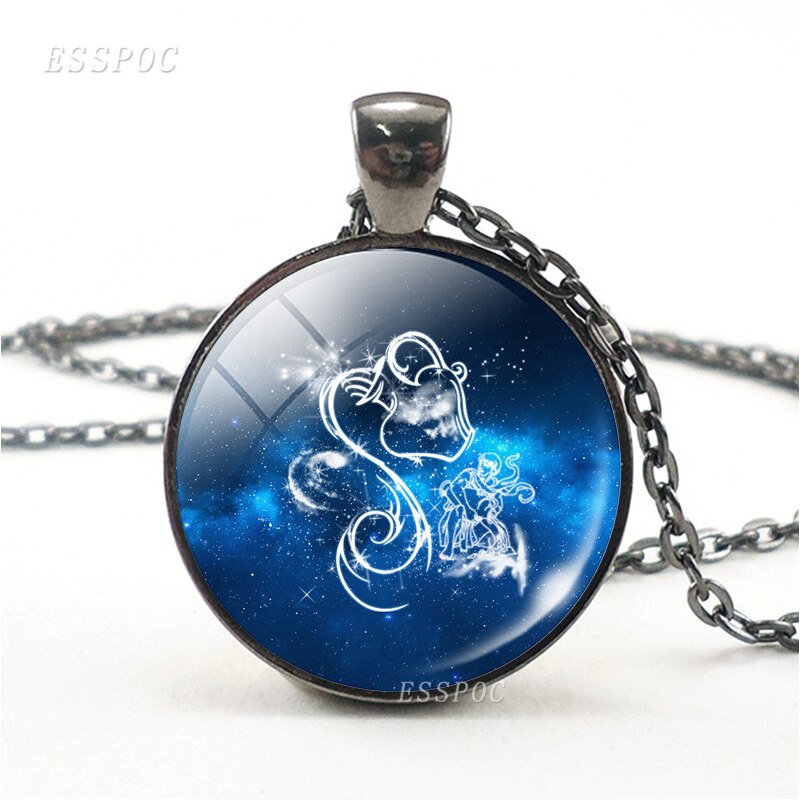 12 konstellationen Halskette 12 Tierkreis Zeichen Widder Leo Gemini Libra Virgo Krebs Glas Cabochon Anhänger Schwarz Kette Halsband: Aquarius