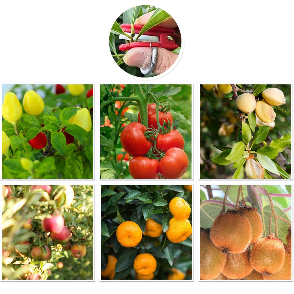 30# Thumb Cutter Tool Gardening Harvesting Picking Device Thumb Mower Grafting Knife Garden Shears Gardening Secateurs Scissor