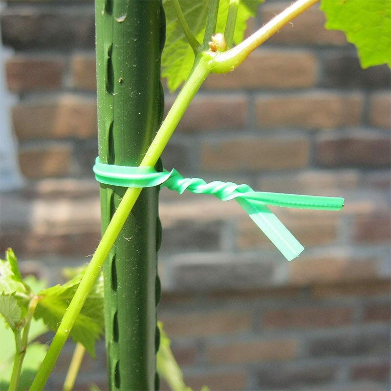 Pvc Tuinieren Twist Ties Plastic-Coated Bonsai Draad Binding Kabel 20/30/50/100M Rubber-Coated Strapping Touw Boom Plant Tie