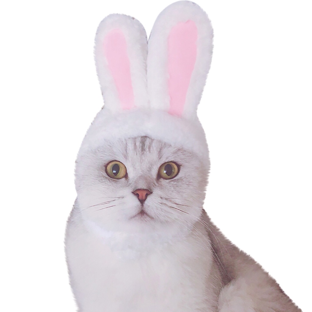 Cat Clothes Costume Bunny Rabbit Ears Hat Pet Cat Cosplay Clothes For Cat Costumes Small Dogs Kitten Party Costume pet products