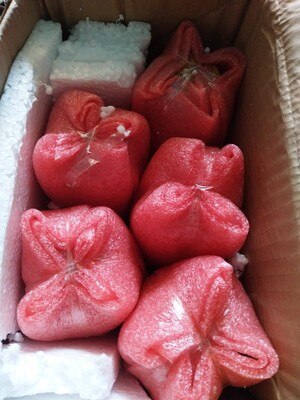 Glass bottle lab glass vial with cork stopper sealed medicine bottles jar