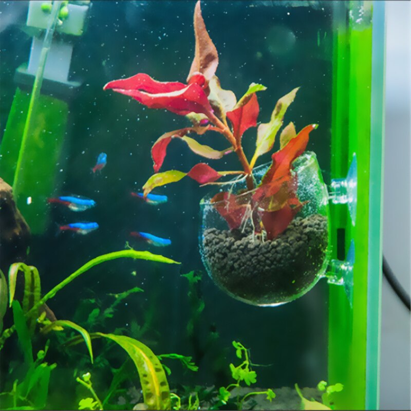 Aquarium Accessoires Crystal Clear Glas Plant Pot Plant Bekerhouder Aquarium Landschappen Cups