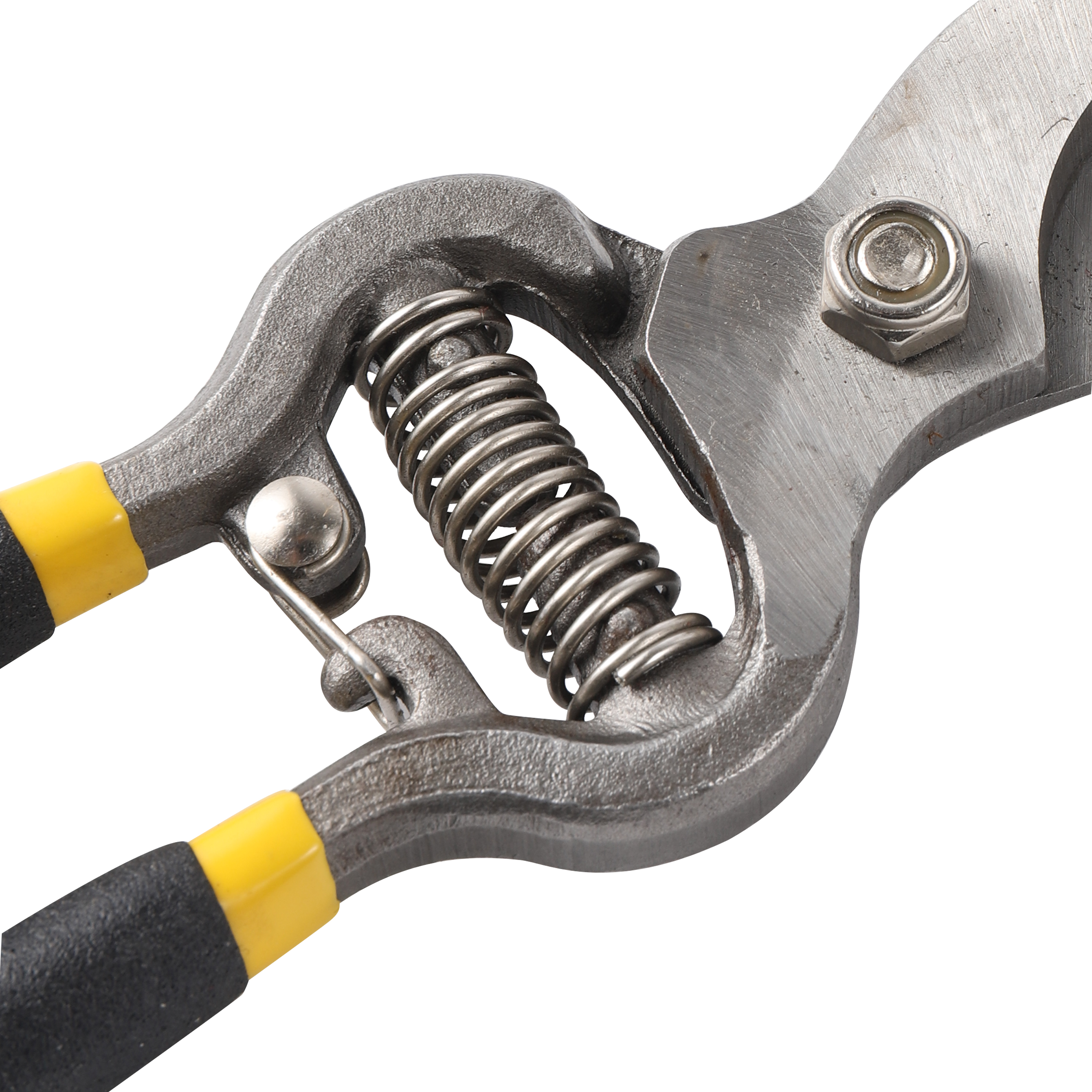 Plant Trim Horticulture Hand Pruner Cut Secateur Shrub Garden Scissor Tool Anvil Branch Shear Orchard Pruning Shears 1pcs