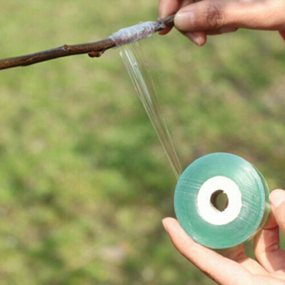 Rollo de cinta de injerto para guardería, rollo de 100m para secar árboles frutales, grabado de ramas, cinturón de jardinería, cinta de lazo de PVC estirable, banda de película de injerto
