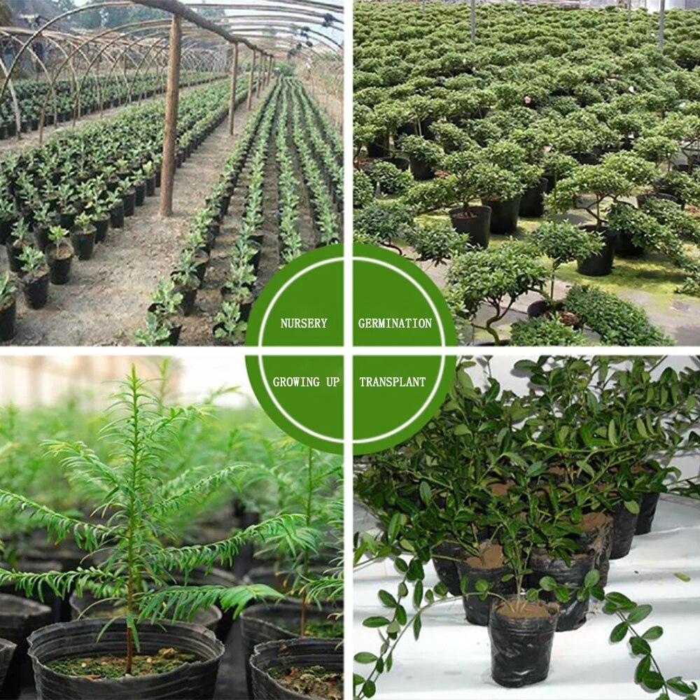 Maceta de plástico para maceta de vivero, bolsa de siembra para planta para jardín doméstico, maceta para vivero de flores, 100 Uds.
