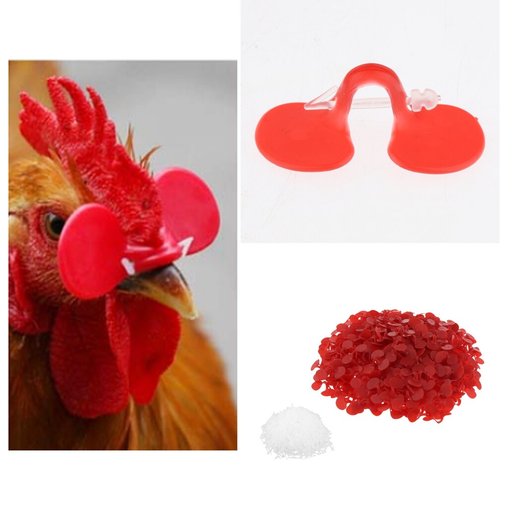 500x Chicken Glasses Chicken Pheasant Anti-pecking Glasses Poultry Supplies