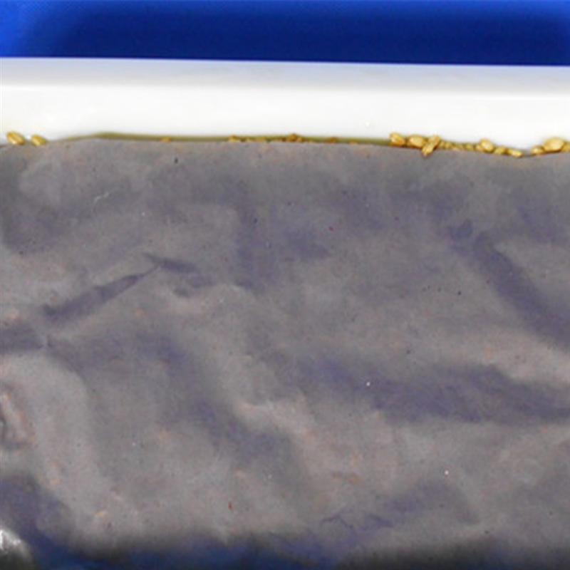 150pcs Seedling Plants Nursery Paper Germinating Paper Garden Planting Sprout Vegetable Plant Growing Paper