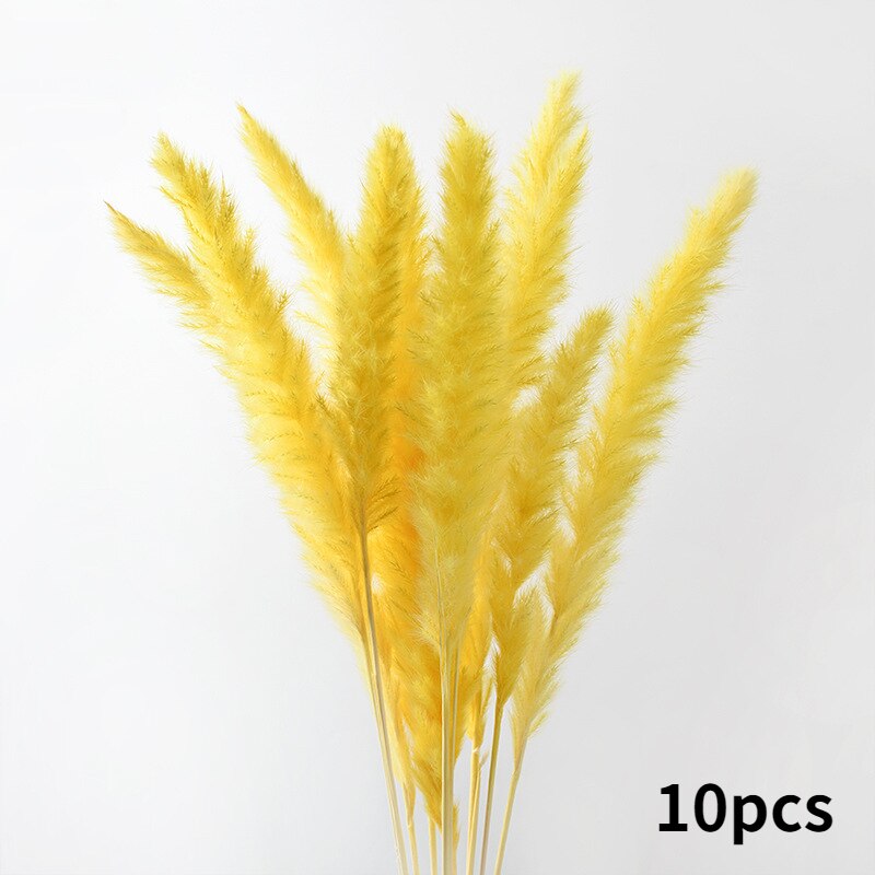 10Pcs Dry Dried Small Pampas Grass Flowers Pantas Artificiales Para Decoracion Real Plants Home Decor Wedding Decoration: yellow