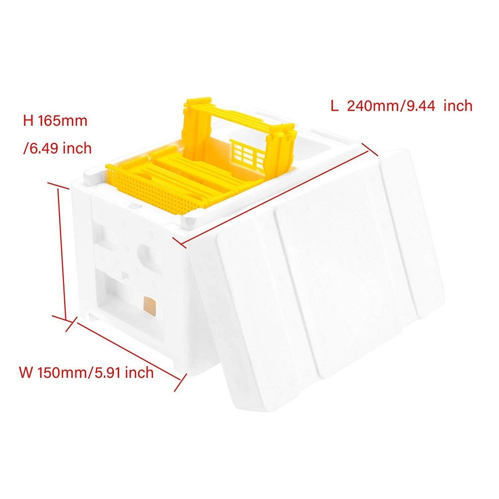 Colmena de abejas reina multifuncional, Material de espuma de plástico, caja doble, herramienta de Apicultura