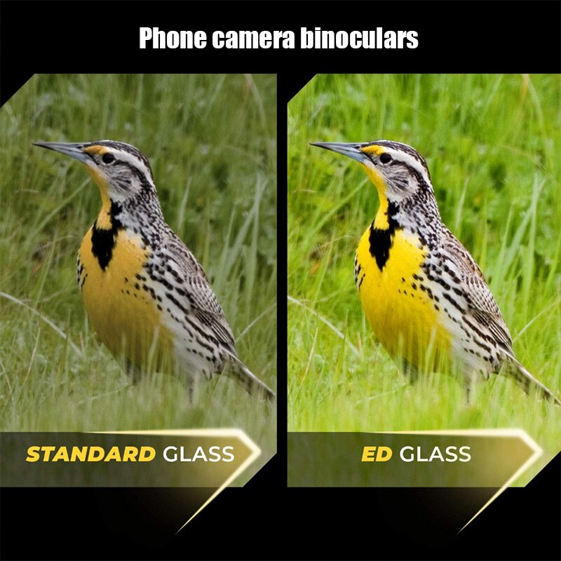 Maifeng 8-40x40 Monocular Telescope on smart phone Compact Retractable Zoom Waterproof Bak4 HD ED Glass With Tripod