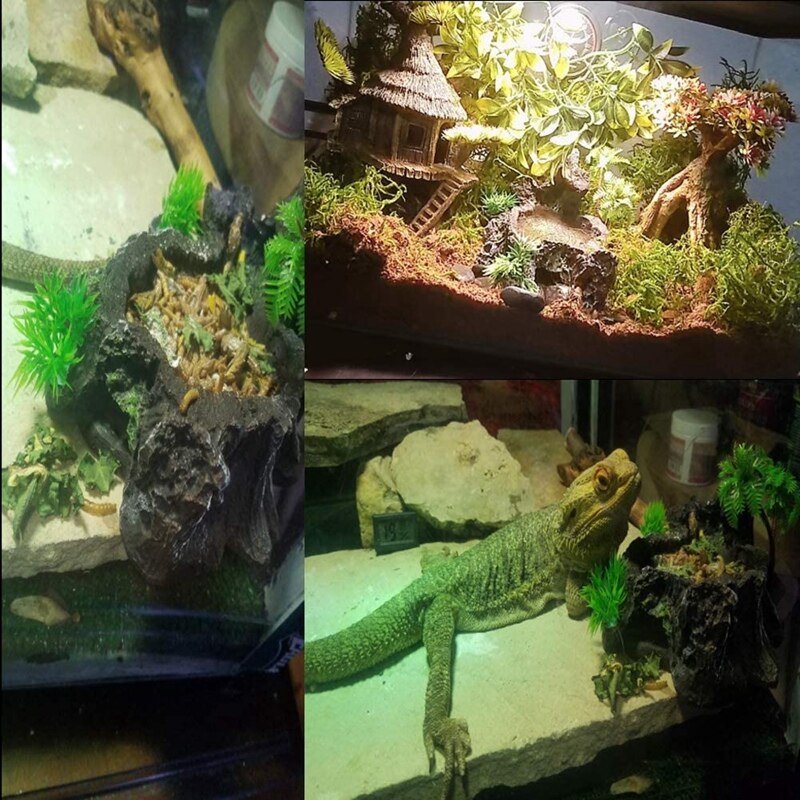 Harts reptil plattform konstgjord orm stam reptil mat vatten drake gecko skål skäggödla
